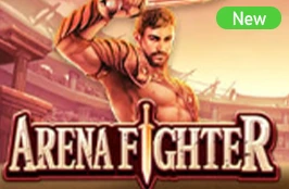 Arena Fighter
