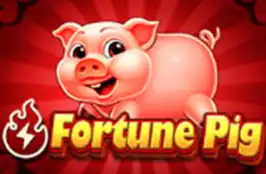 Fortune Pig
