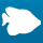icon fish blue